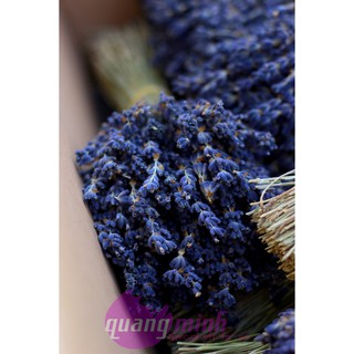 Bó hoa lavender khô thuần túy