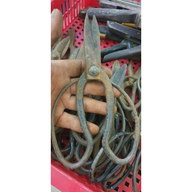 Kéo nhật bãi chưa vệ sinh