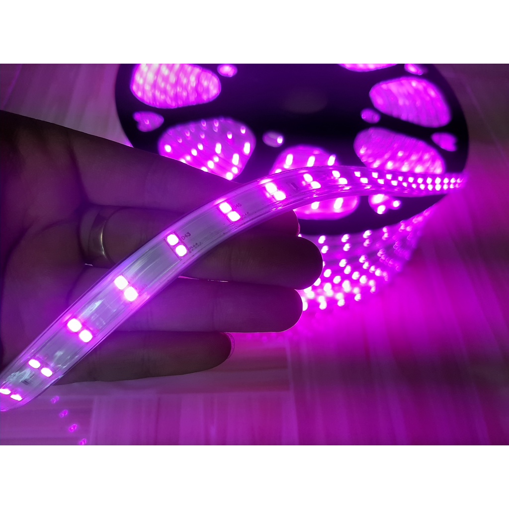 Đèn Led dây đôi trang trí 2835 màu vàng, đỏ, hồng, xanh lá, xanh dương dùng hắt trần, tủ trưng bày ( bán theo met )