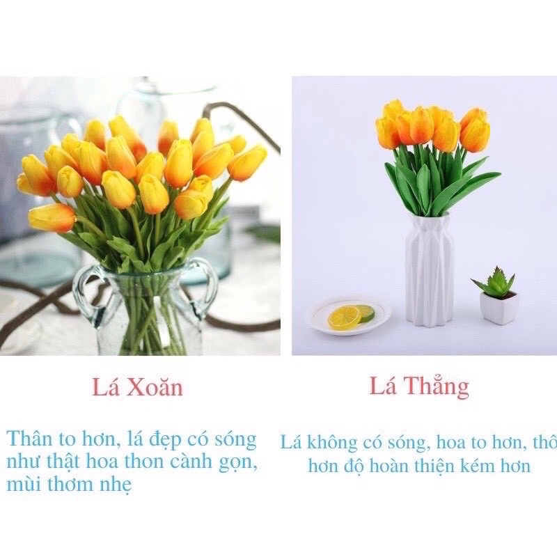 Hoa tuylip giả lá xoăn cao cấp