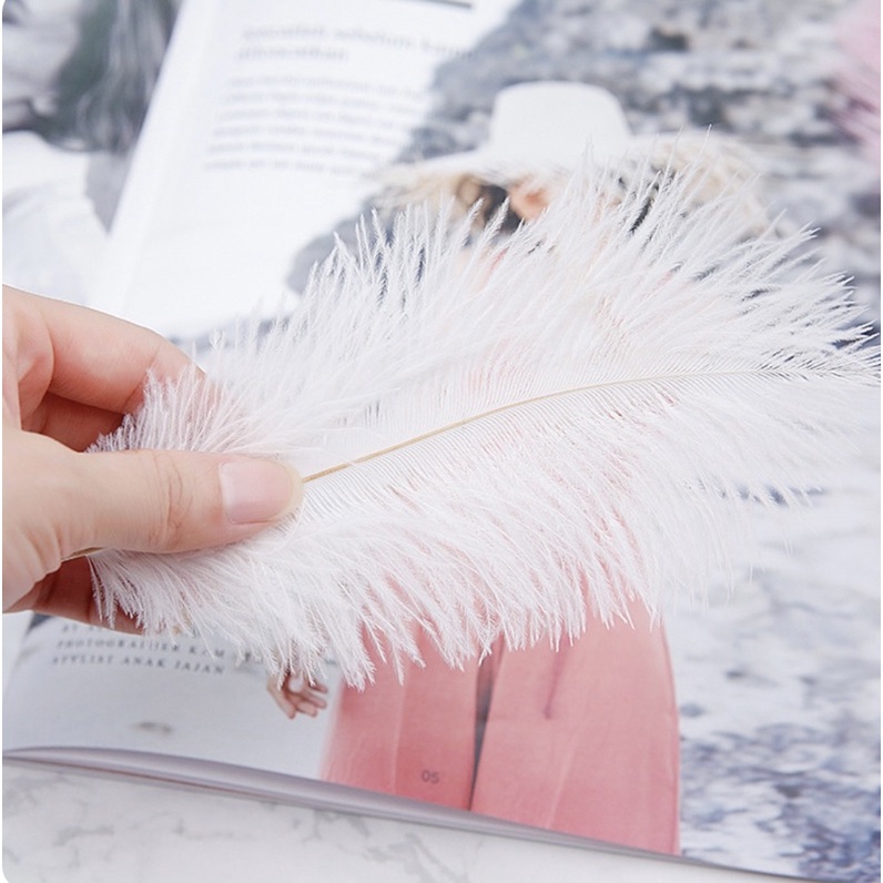 Lông vũ chụp ảnh(sét 2 cái)