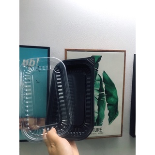 Set 50 Hộp nhựa đựng cơm, bánh sử dụng 1 lần cao cấp