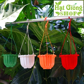 Chậu treo bí mini size 11x8