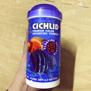 CÁM CÁ ĐẦU BÒ, ALI, KÉT, LA HÁN 120gr