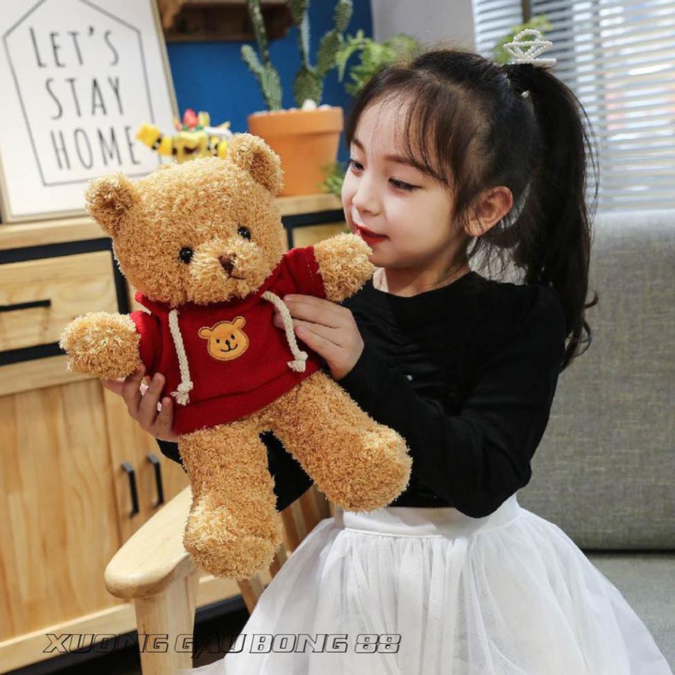 Gấu Bông Đồ Chơi cho bé Teddy Mặc Áo Hoodie Nhiều Màu Nhồi Gòn Cao Cấp Bao Xinh