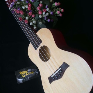 Đàn ukulele concert