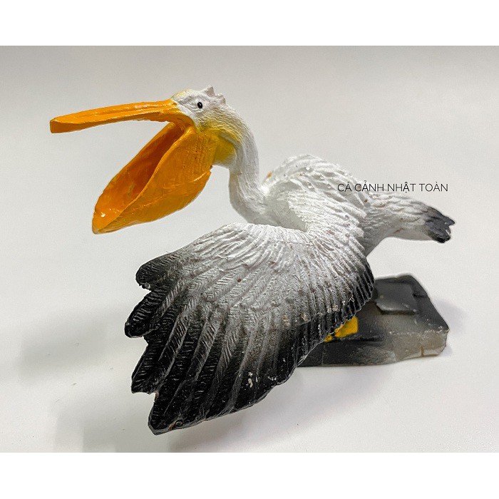 BỒ NÔNG TRANG TRÍ BỂ CÁ, NON BỘ CAO 6CM