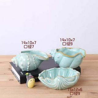 chén ốc biển - vỏ sò cho thú kiểng