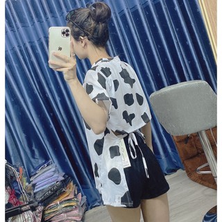 áo cột dây lưng bò sữa