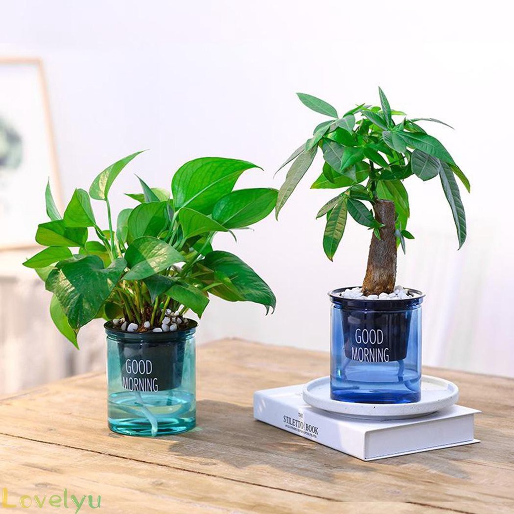 Set 2 Chậu Trong Suốt Tự Tưới Nước Tiện Dụng