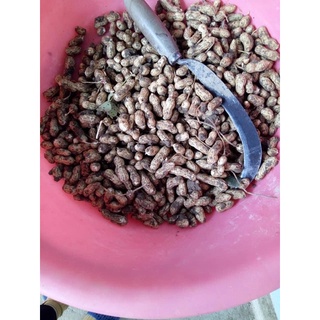 Lạc đỏ Cao Bằng - [500g]