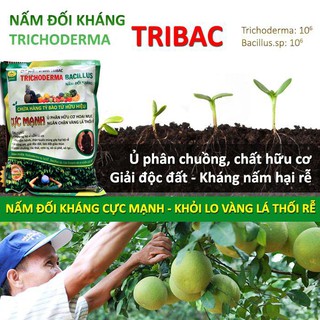 Nấm đối kháng trichoderma TRIBAC