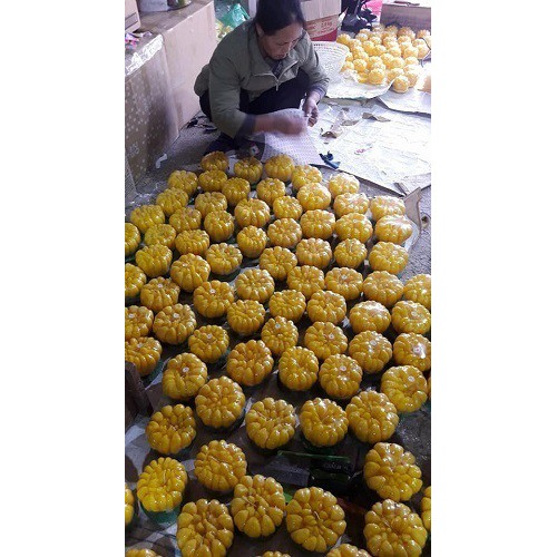 NẾN THƠM PHẬT THỦ,THẮP SÁNG TÀI VẬN,NẾN TRANG TRÍ BÀN THỜ