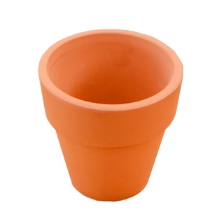 Combo 10 chậu đất nung 5cm màu nâu