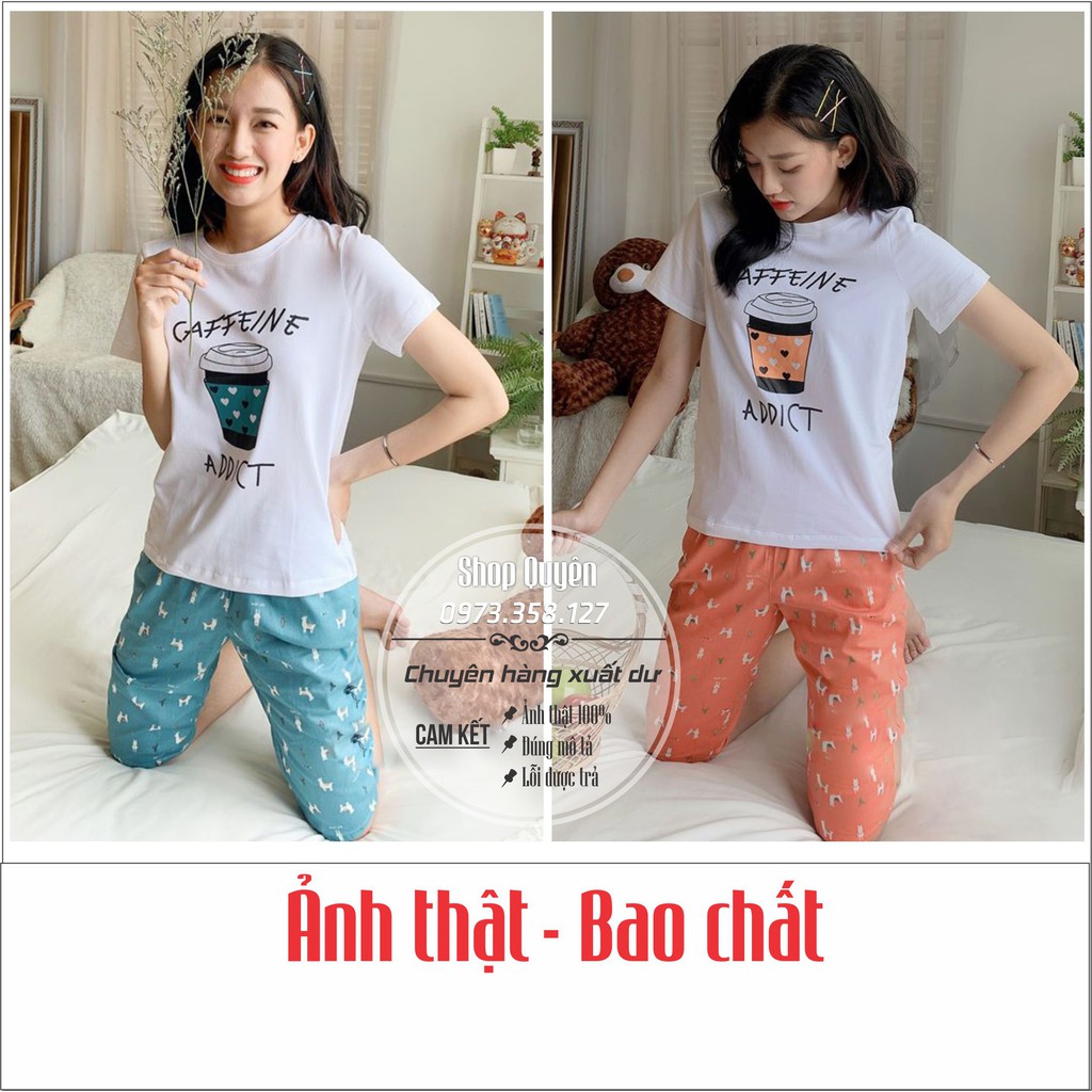 Bộ Mặc Nhà Nữ, Áo cộc chất cotton, quần ngố thô mềm, phom xuất, in hình cốc trà sữa