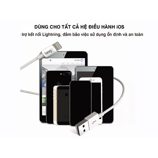 Cáp sạc Lightning MFi Basic Cho Iphone-Ipod-Ipad - Chuẩn MFI Bagi +MFI-N100+