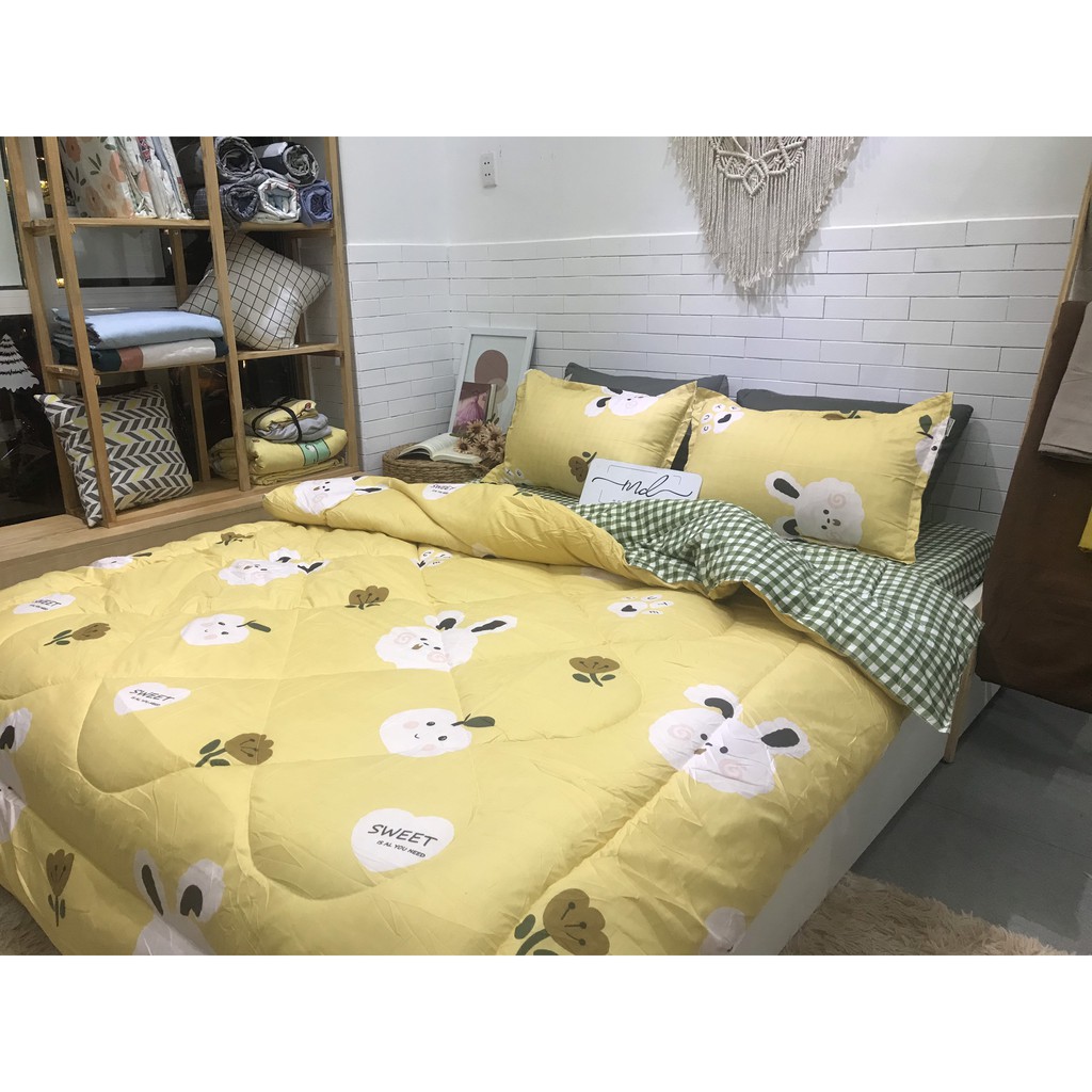 Bộ chăn ga gối Cotton Poly 5 món