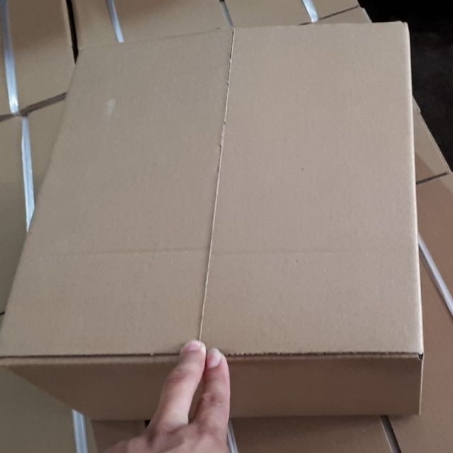 100 Hộp carton 20x15x10
