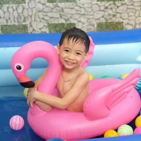 TRẺ EM HÌNH HỒNG HẠC SIÊU XINH