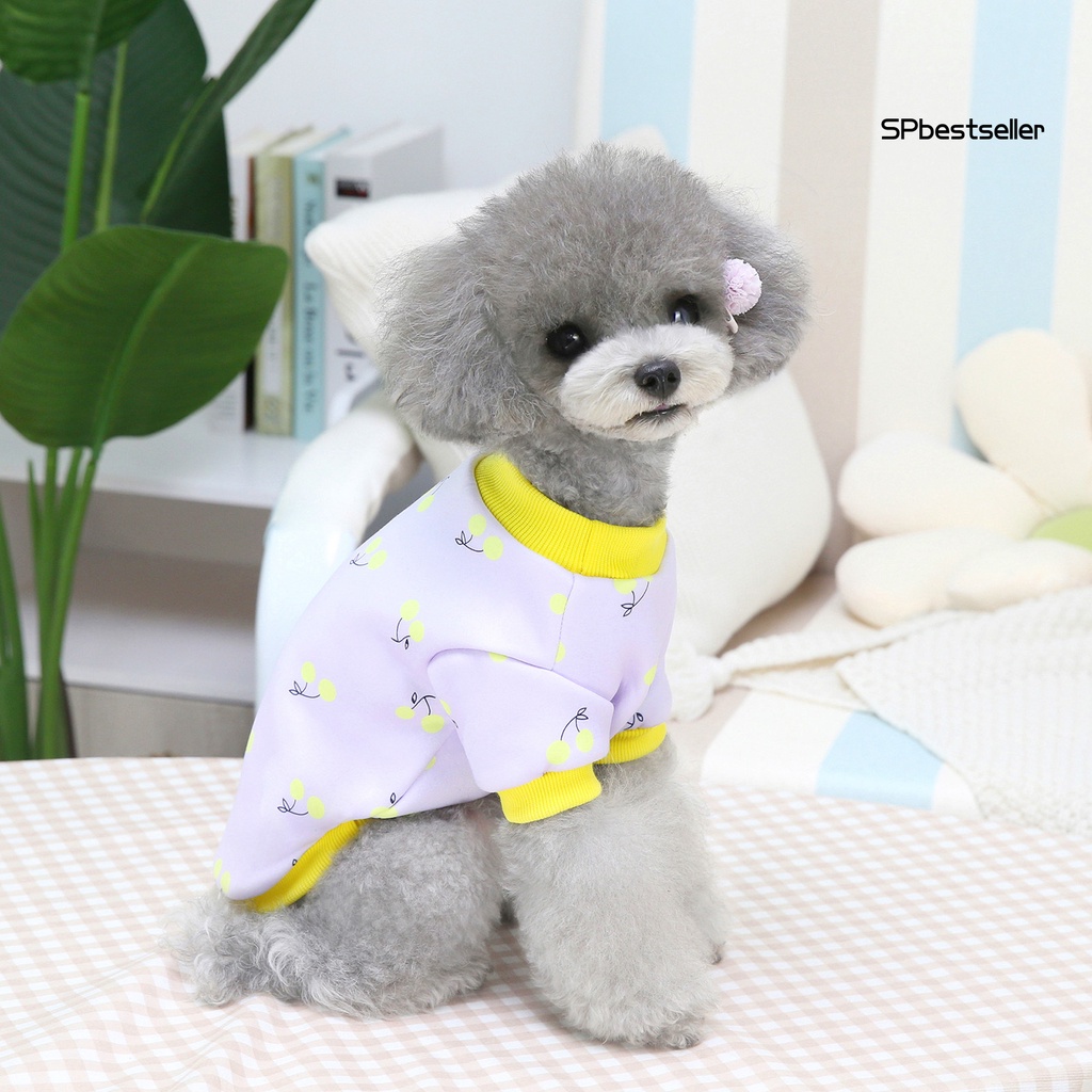 Áo nỉ mềm mại họa tiết hoạt hình dễ thương cho cún cưng