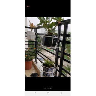 5 cái giá móc treo để chậu hoa ban công phi 22cm x11cm