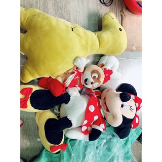 Gấu bông của vân ann