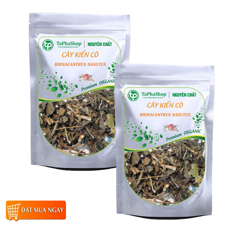 Cây Kiến Cò Khô 1kg