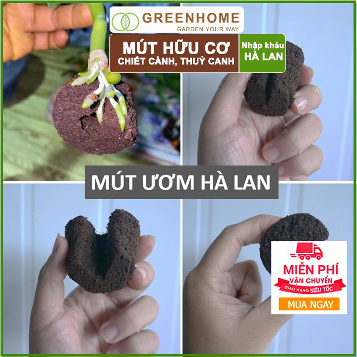 Bộ 5 Mút ươm Kie Hà Lan, 6x6x4cm, hữu cơ, kích rễ, ươm hạt, chiết cành, trồng thuỷ canh |Greenhome