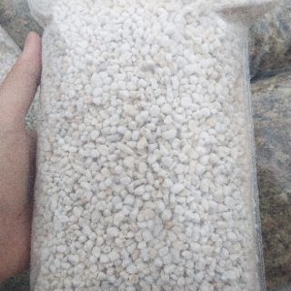 Đá Perlite (đá Trân Châu) túi 2l trồng cây, ấp trứng bò sát