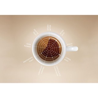 Cà Phê Hạt Đã Rang Illy Coffee Medium Roasted Classico Coffee – 250gr