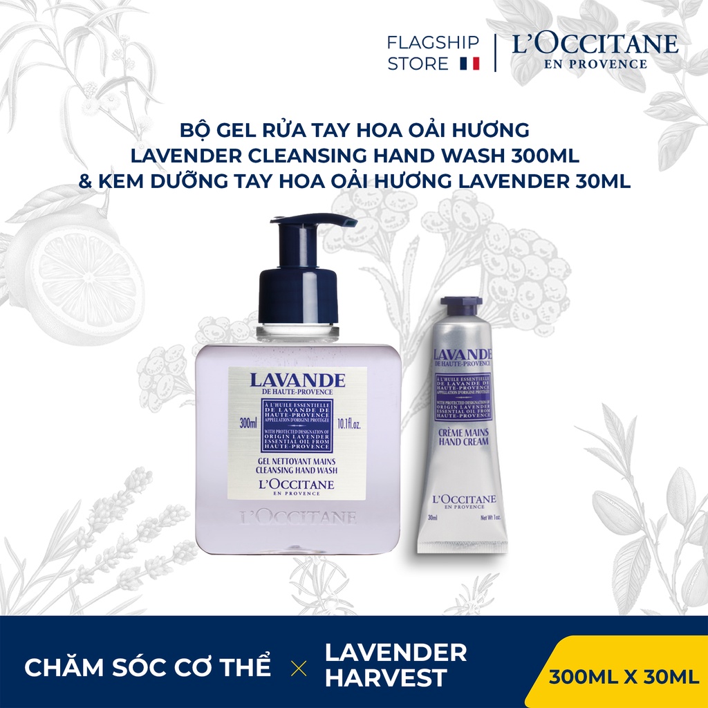 Bộ Gel rửa tay Hoa Oải Hương Lavender Cleansing Hand Wash 300ml &amp; Kem Dưỡng Tay Hoa Oải Hương Lavender 30ml L'Occitane