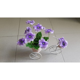 hoa đất sét