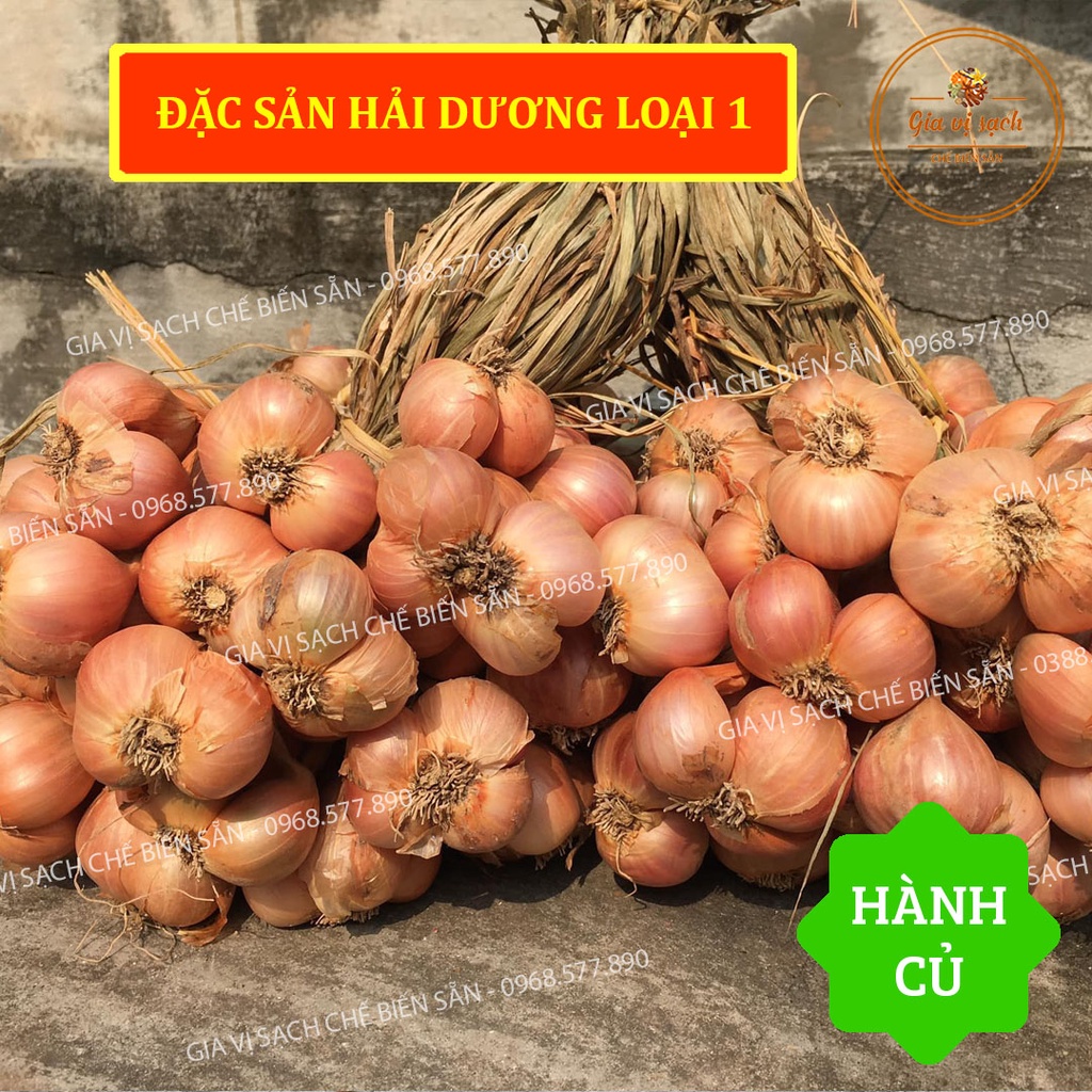 Sỉ & Lẻ 1kg Hành củ LOẠI 1 || Gia vị sạch chế biến sẵn