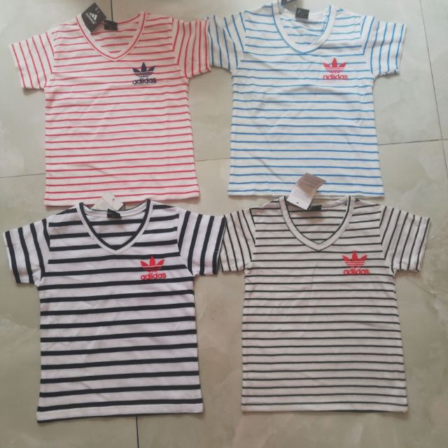 Combo 4 áo cotton 4c