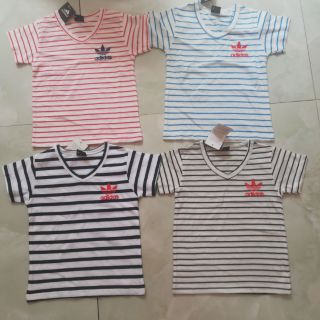 Combo 4 áo cotton 4c
