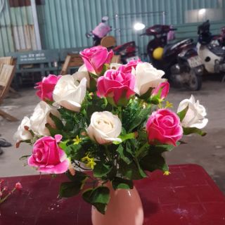 Combo Hoa hồng đà lạt và hoa điểm