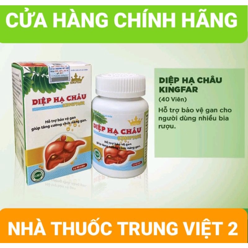 Diệp hạ châu Kingphar tăng cường giải độc gan