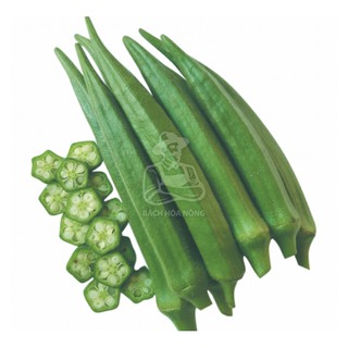 Hạt giống đậu bắp trái xanh phú nông - gói 10g