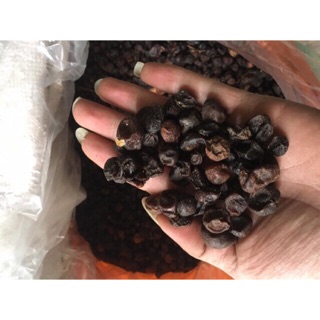 Combo 1kg lá móc mật và 500g hạt móc mật cho khách