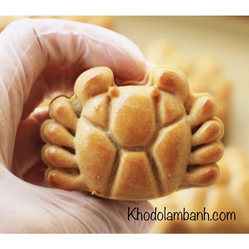Khuôn trung thu 50g hình cua 1 mặt