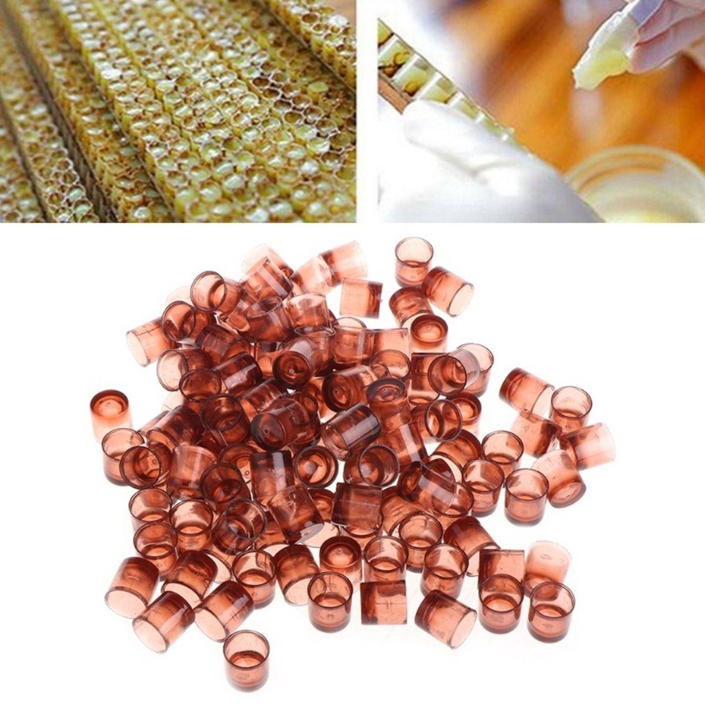 Lồng Nuôi Ong Chúa Bằng Nhựa