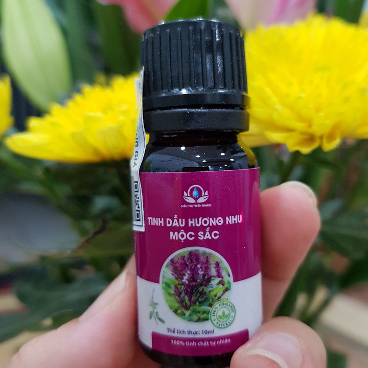 Tinh Dầu Hương Nhu Mộc Sắc 10ml [Organic]