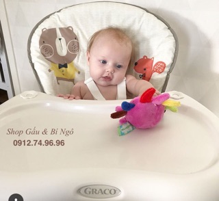 Ghế ăn cao cấp Graco Tea Time