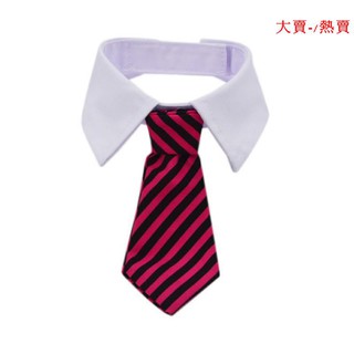 Phụ Kiện Chụp Ảnh Sáng Tạo