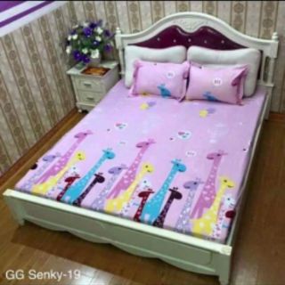 Set Ga gối
