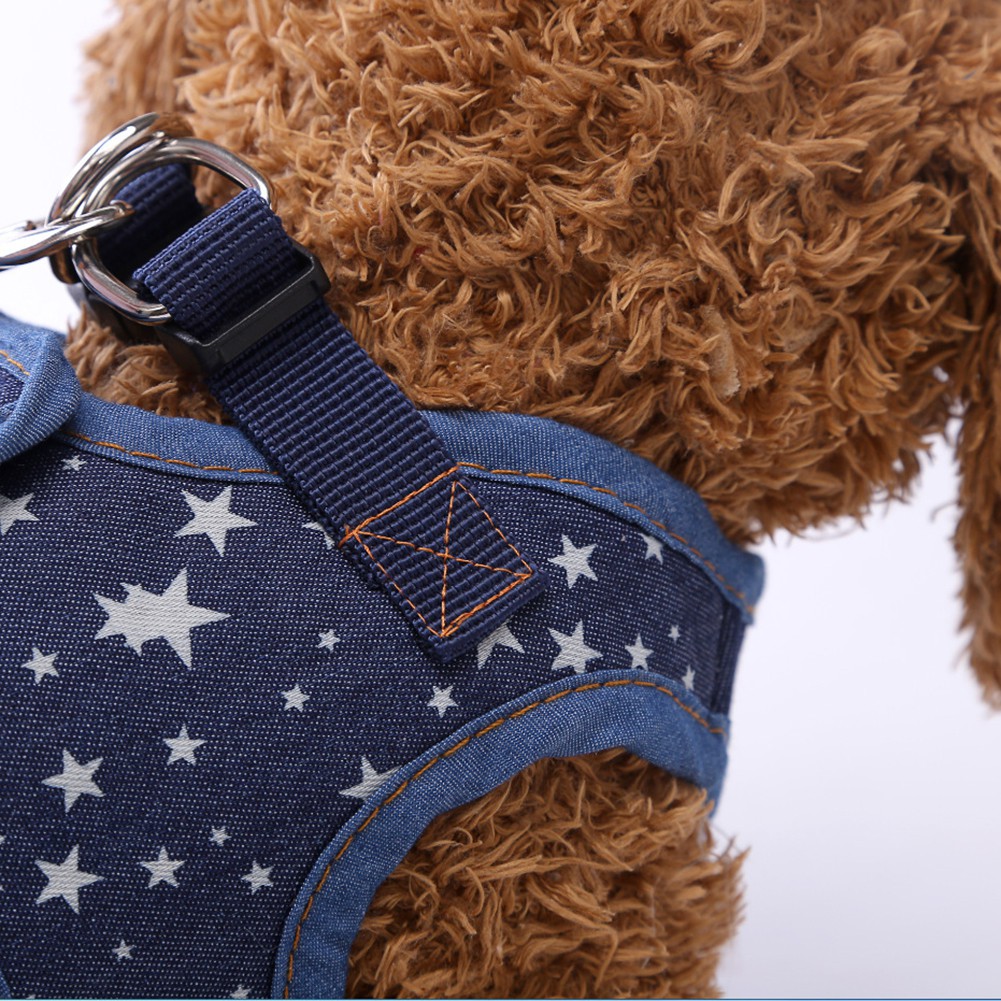 Vòng Cổ Và Dây Dắt Thú Cưng Đi Dạo Đáng Yêu