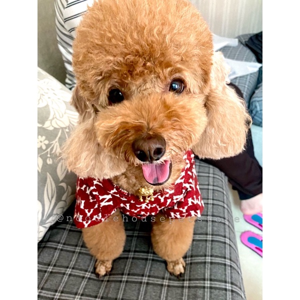 ÁO SƠ MI NY CHO THÚ CƯNG