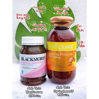 Anh Thảo Springleaf 400 viên Úc
