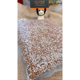 Hạt Bo Bo-MIXED BORON SEEDS G500gr