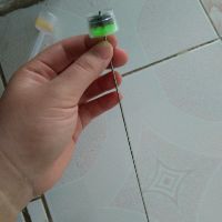 cây chẻ rau muống